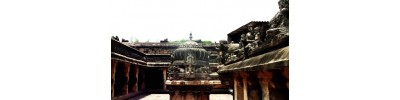 100. திருத்துருத்தி